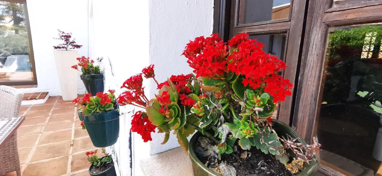 Roca Verde, Boutique Bed & Breakfast (Adults Only) Alhaurín de la Torre Exterior foto