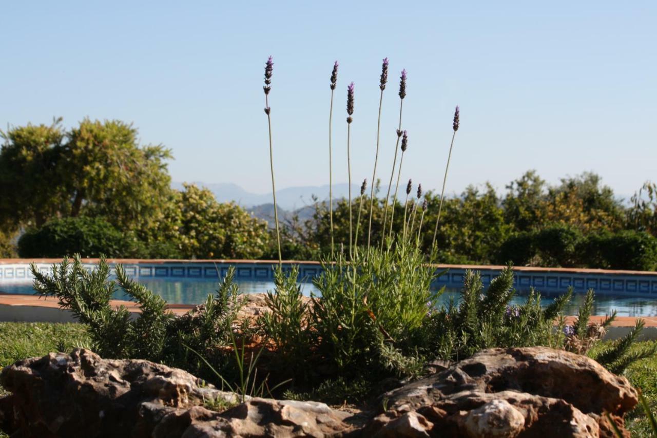 Roca Verde, Boutique Bed & Breakfast (Adults Only) Alhaurín de la Torre Exterior foto